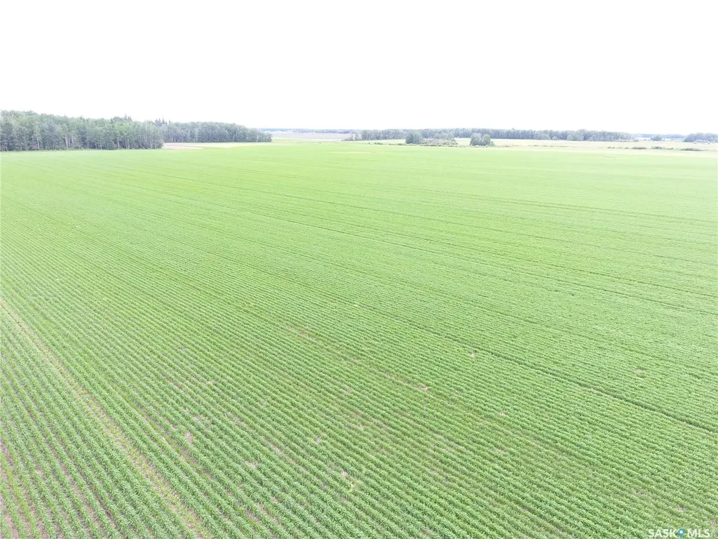 Rural Address Hudson Bay Rm No. 394 SK S0E 0Y0