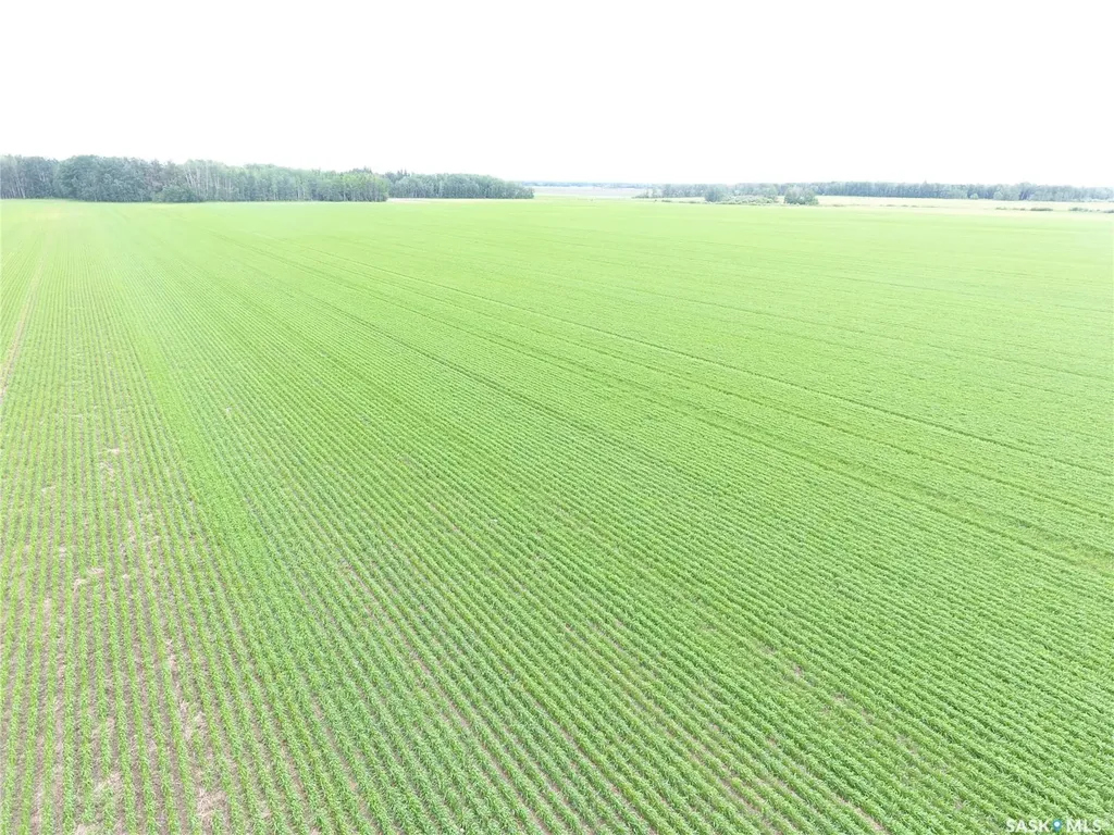 Rural Address Hudson Bay Rm No. 394 SK S0E 0Y0