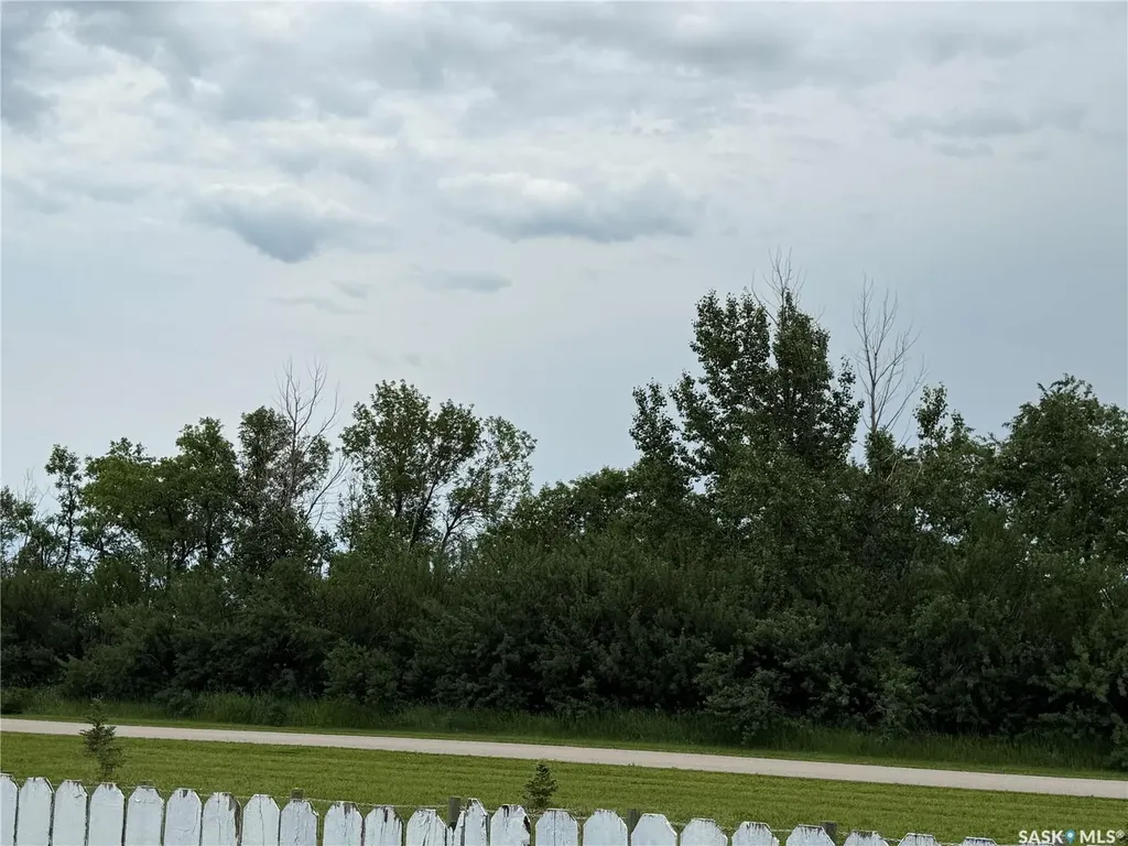 261 Bean Crescent Weyburn SK S4H 3A3