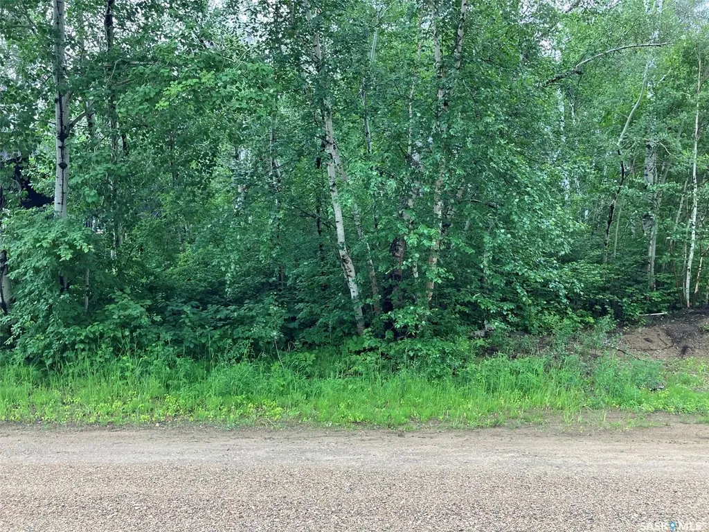 1311 Westview Avenue Tobin Lake SK S0E 1E0