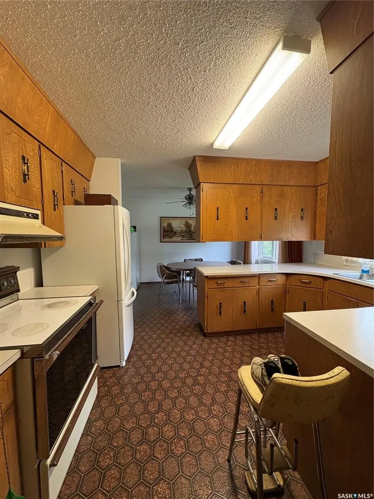 136 Frank Avenue Orkney Rm No. 244 SK S3N 1W8