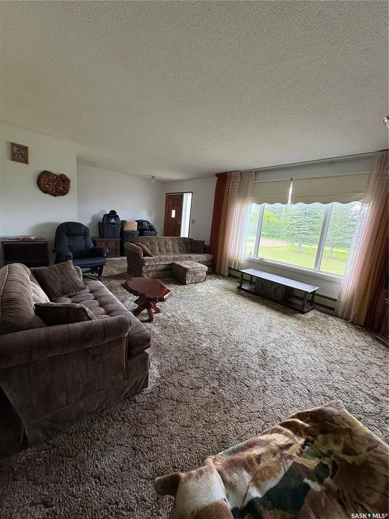 136 Frank Avenue Orkney Rm No. 244 SK S3N 1W8