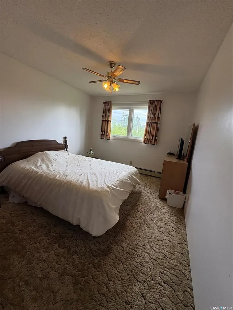 136 Frank Avenue Orkney Rm No. 244 SK S3N 1W8