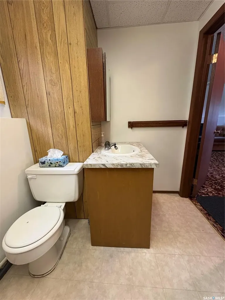 136 Frank Avenue Orkney Rm No. 244 SK S3N 1W8