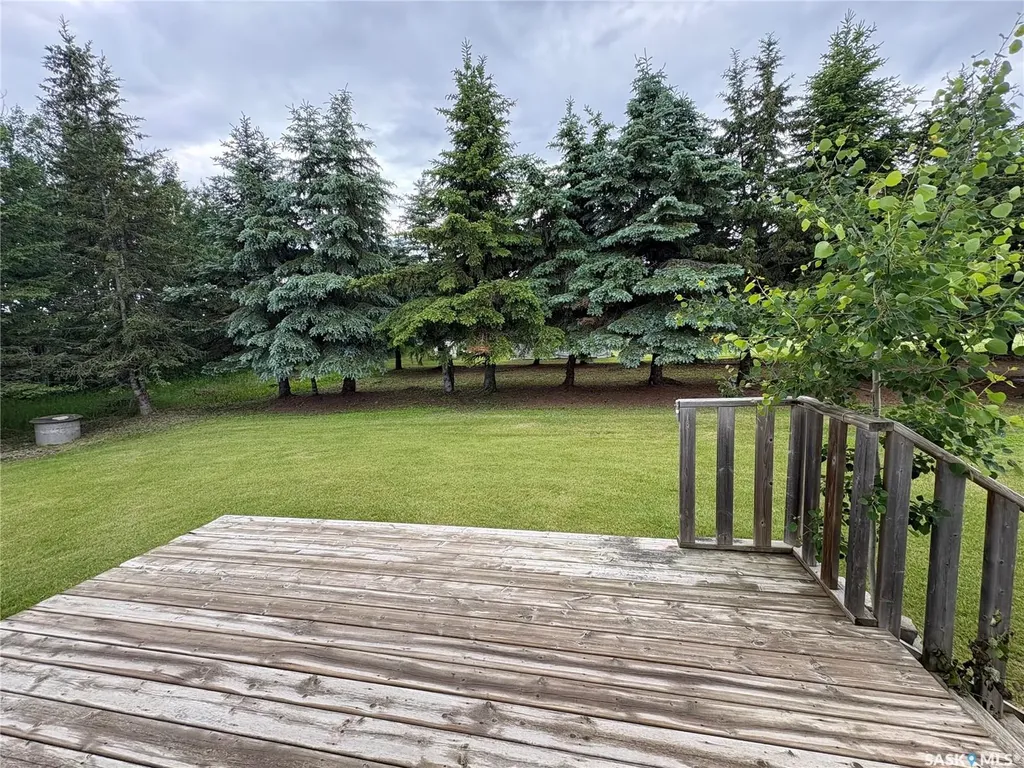 136 Frank Avenue Orkney Rm No. 244 SK S3N 1W8