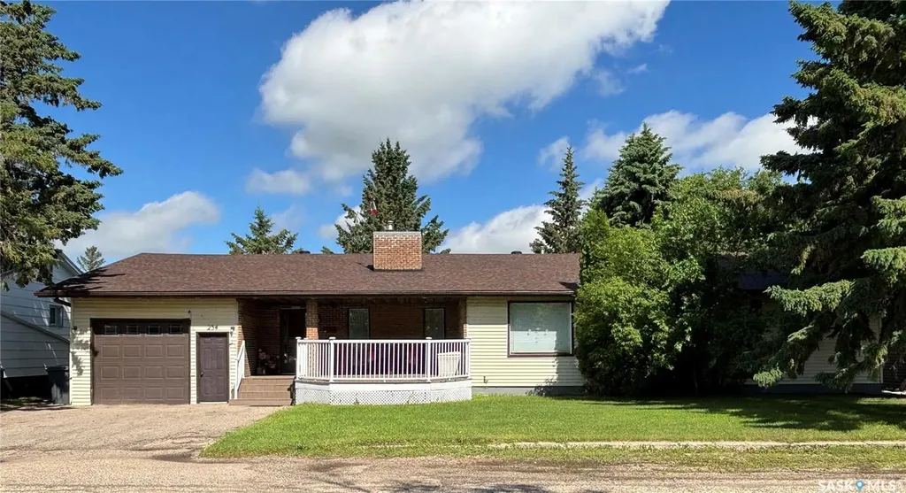 234 Patrick Street Springside SK S0A 3V0