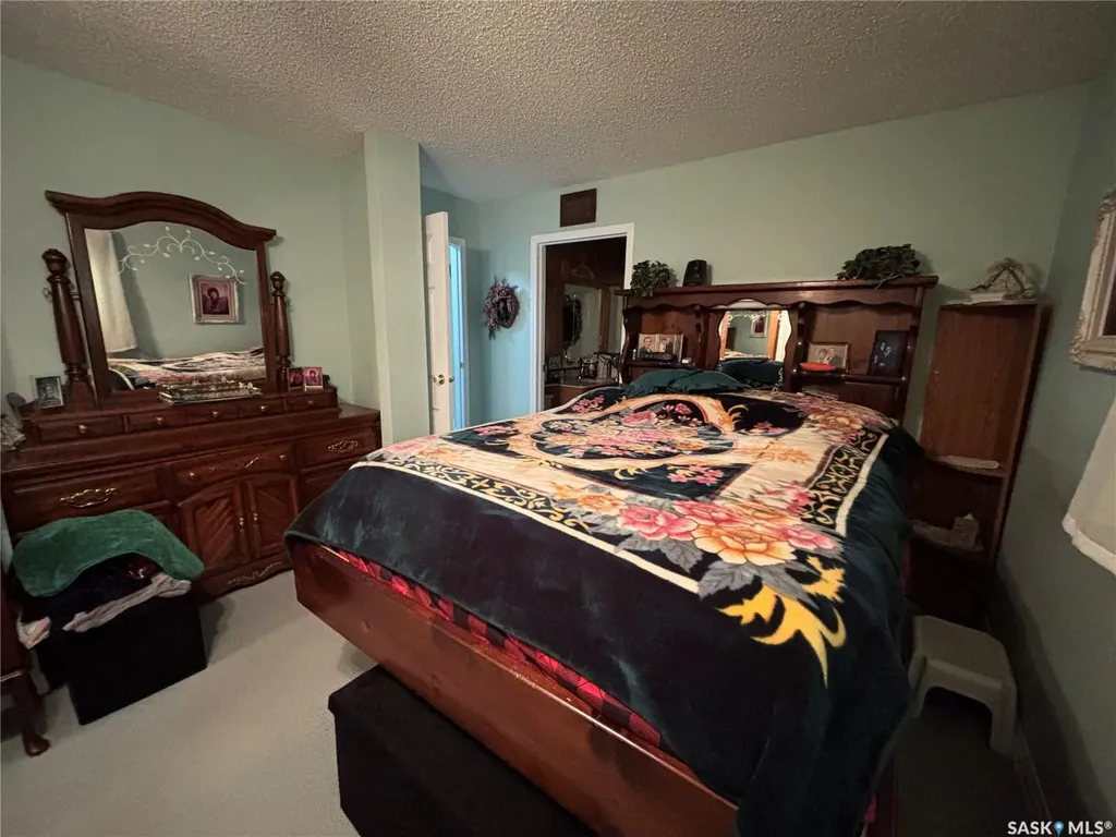 234 Patrick Street Springside SK S0A 3V0