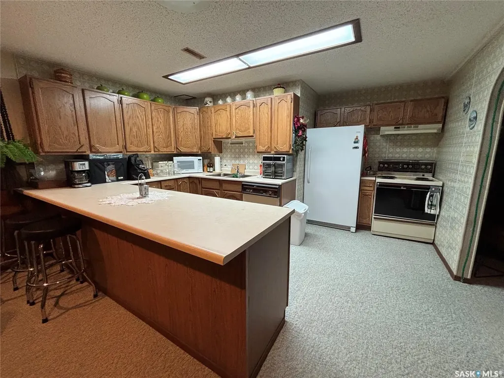 234 Patrick Street Springside SK S0A 3V0
