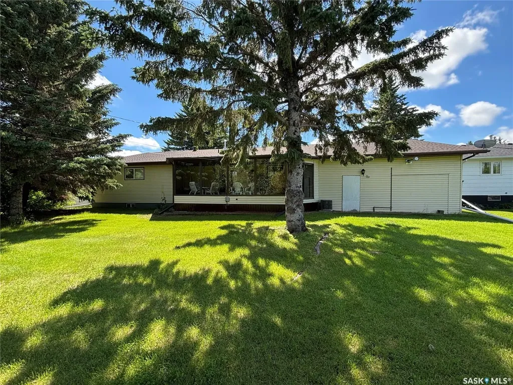 234 Patrick Street Springside SK S0A 3V0