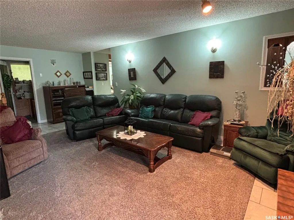 234 Patrick Street Springside SK S0A 3V0