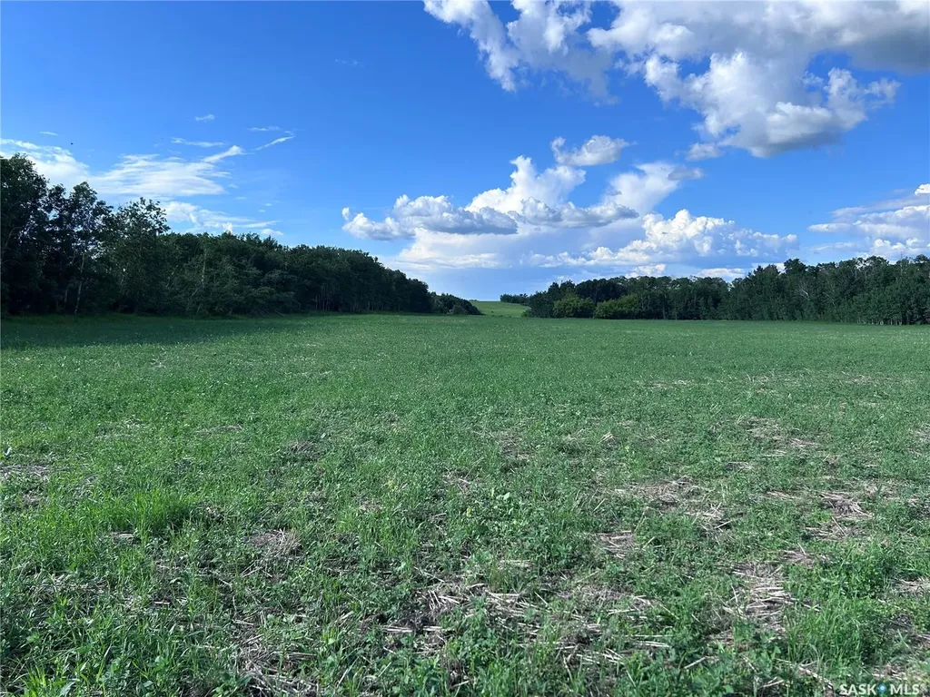 Rural Address Lake Lenore Rm No. 399 SK S0K 3V0