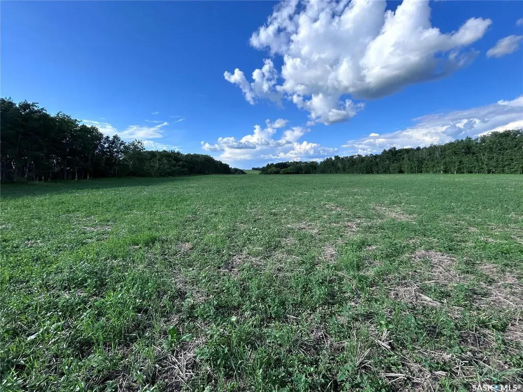 Rural Address Lake Lenore Rm No. 399 SK S0K 3V0