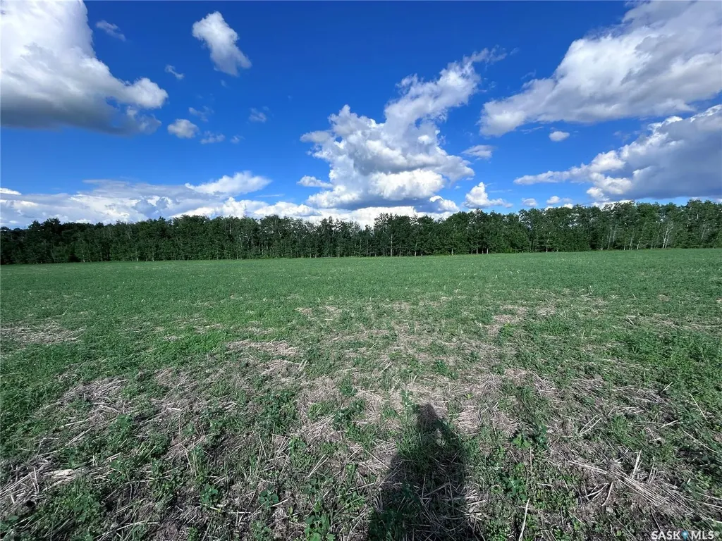 Rural Address Lake Lenore Rm No. 399 SK S0K 3V0