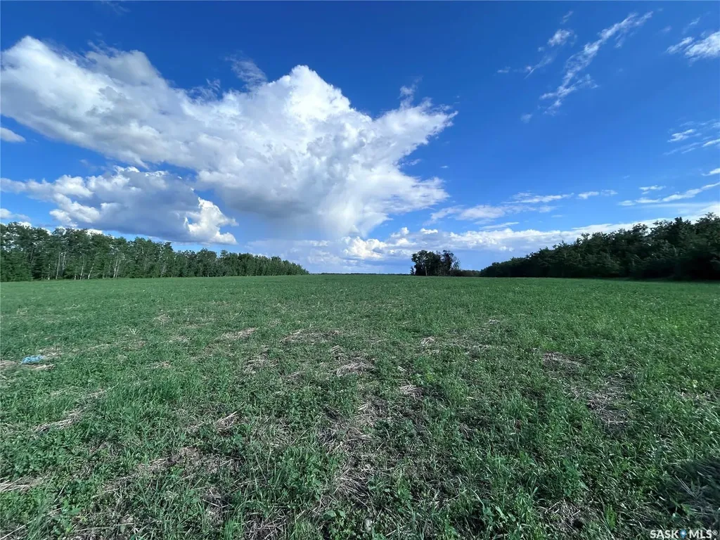 Rural Address Lake Lenore Rm No. 399 SK S0K 3V0