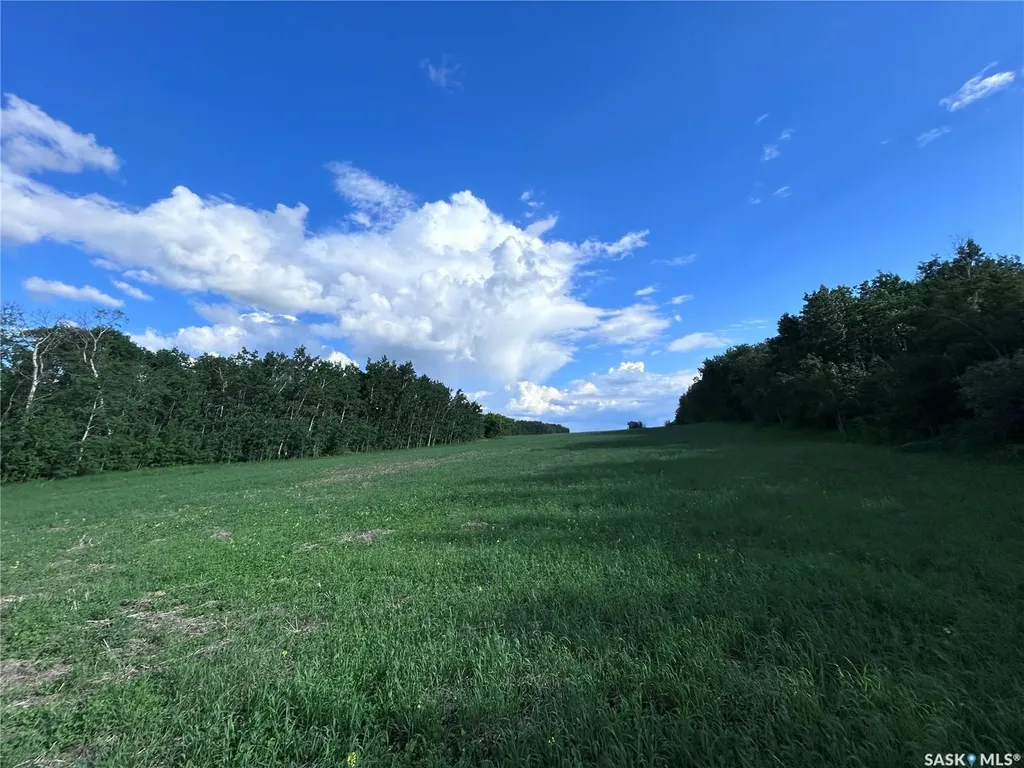 Rural Address Lake Lenore Rm No. 399 SK S0K 3V0