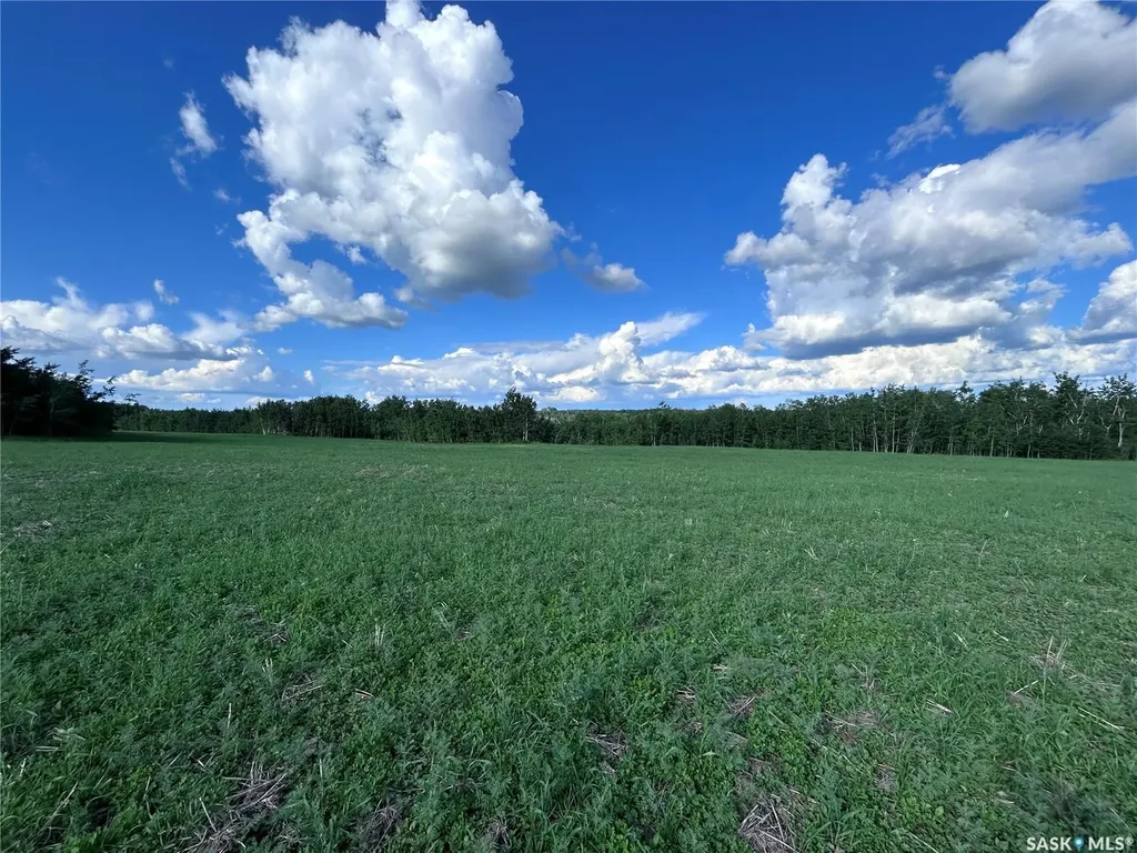 Rural Address Lake Lenore Rm No. 399 SK S0K 3V0