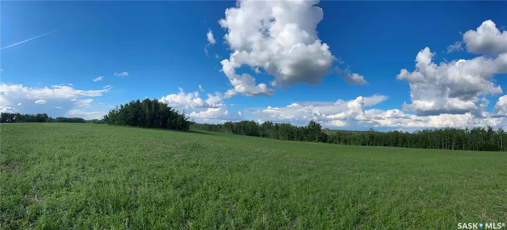 Rural Address Lake Lenore Rm No. 399 SK S0K 3V0
