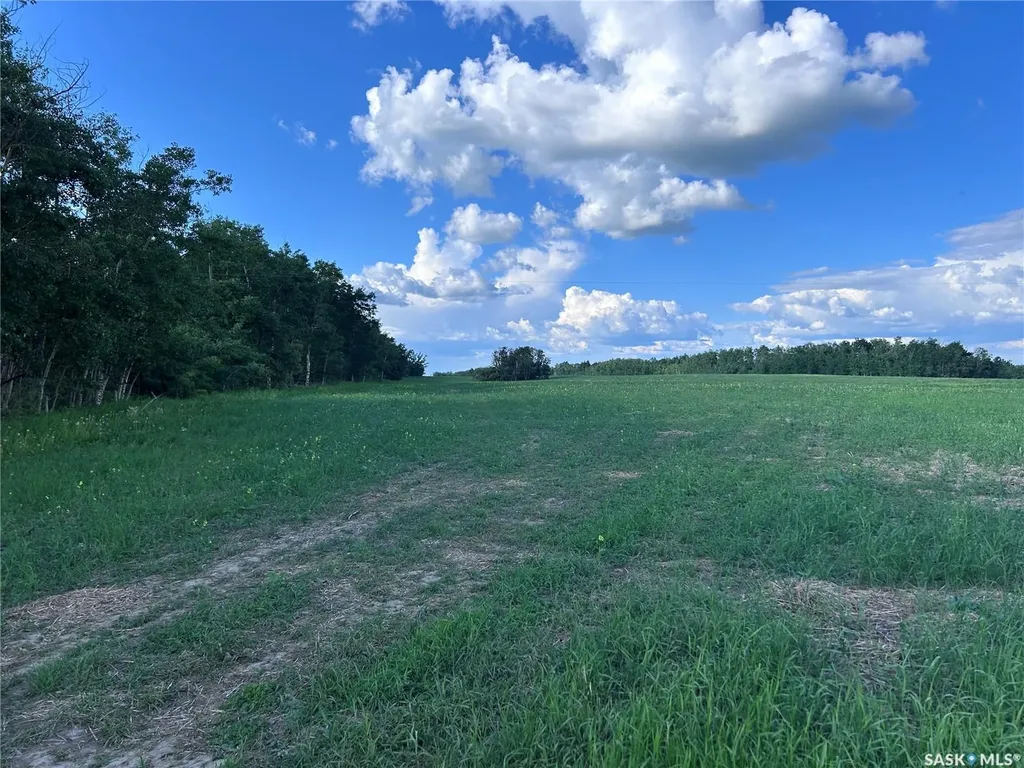 Rural Address Lake Lenore Rm No. 399 SK S0K 3V0