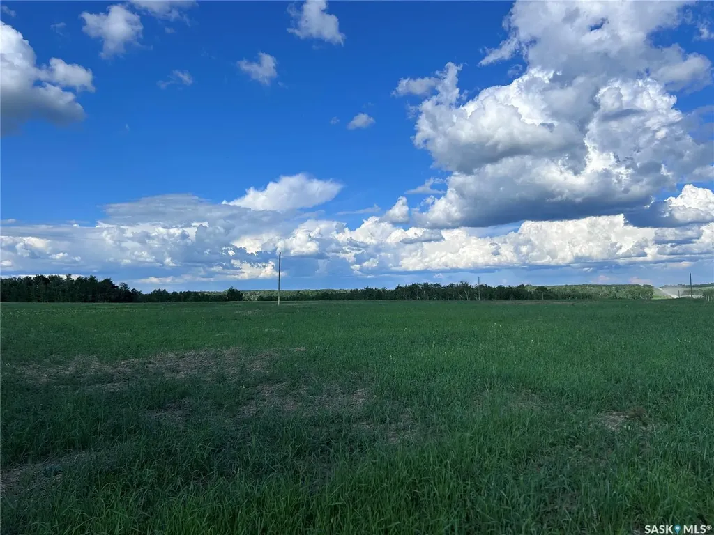 Rural Address Lake Lenore Rm No. 399 SK S0K 3V0