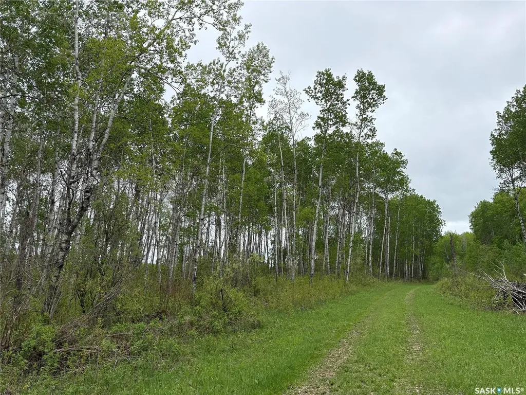 Rural Address Hazel Dell Rm No. 335 SK S0A 0W0