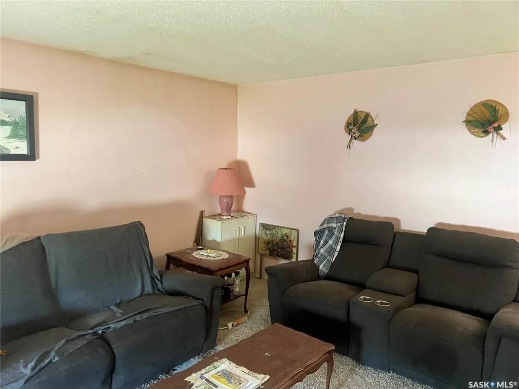 561 Ford Street Bethune SK S0G 0H0