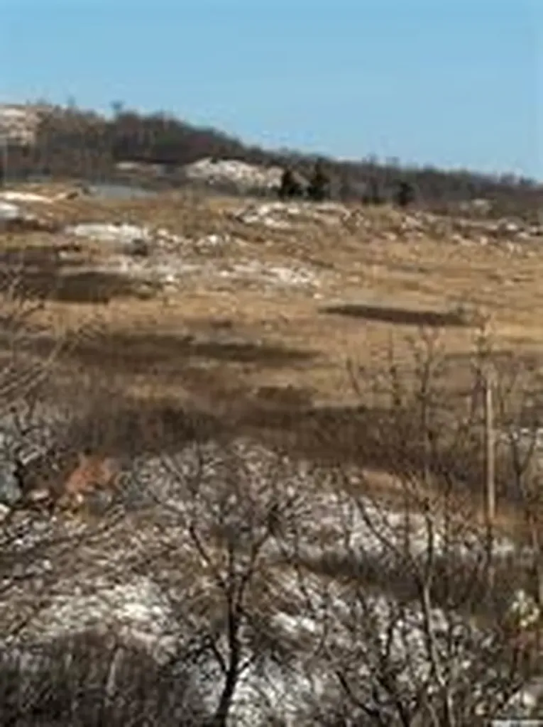 3.15 Acres Rural Address Longlaketon Rm No. 219 SK S0G 0J5