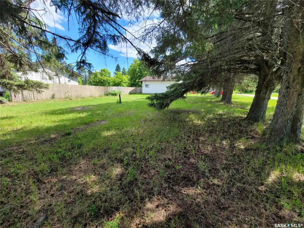 72 2nd Avenue Paddockwood SK S0J 1Z0
