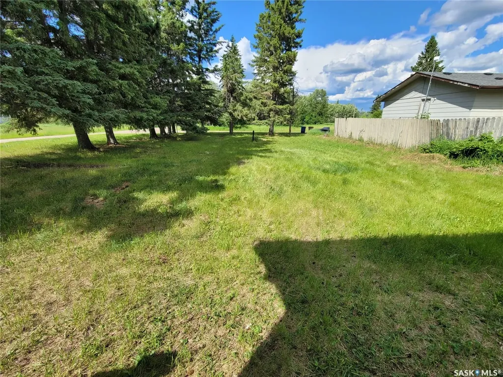 72 2nd Avenue Paddockwood SK S0J 1Z0