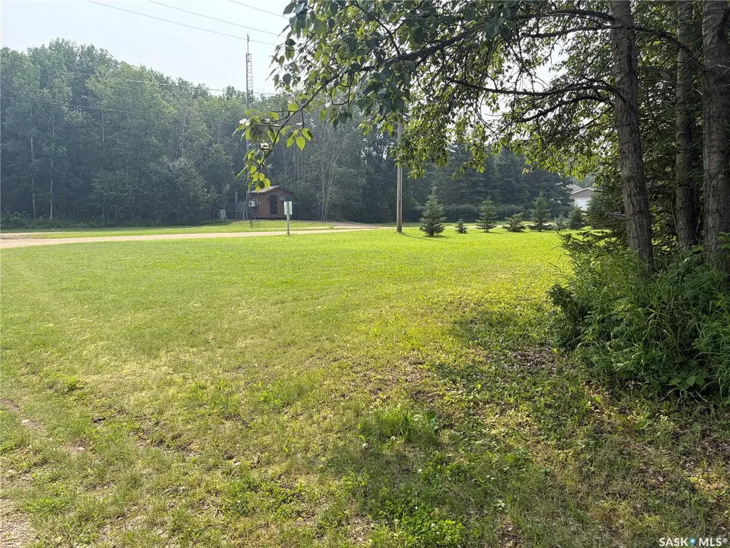 16A Delaronde Court Big River Rm No. 555 SK S0J 0E0