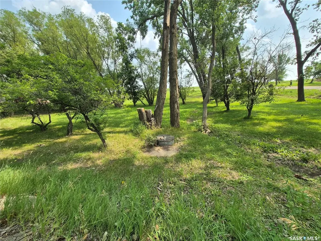413 Peterson Avenue Radville SK S0C 2G0