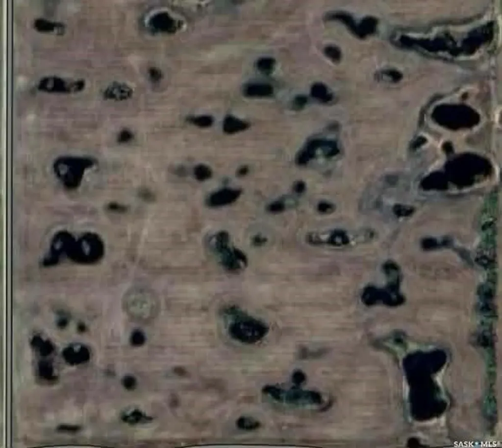 Rural Address Rural Address Fertile Belt Rm No. 183 SK S0A 0X0