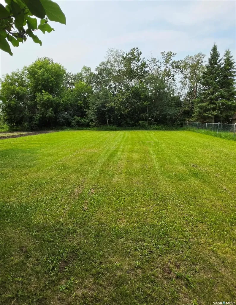 223 3rd Street NE Preeceville SK S0A 3B0