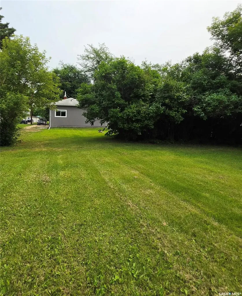 223 3rd Street NE Preeceville SK S0A 3B0