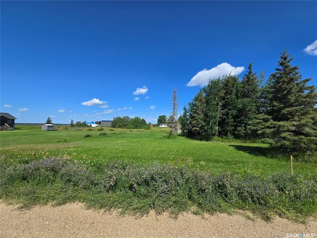 Lot 8 Ivory Drive Big River Rm No. 555 SK S0J 0E0