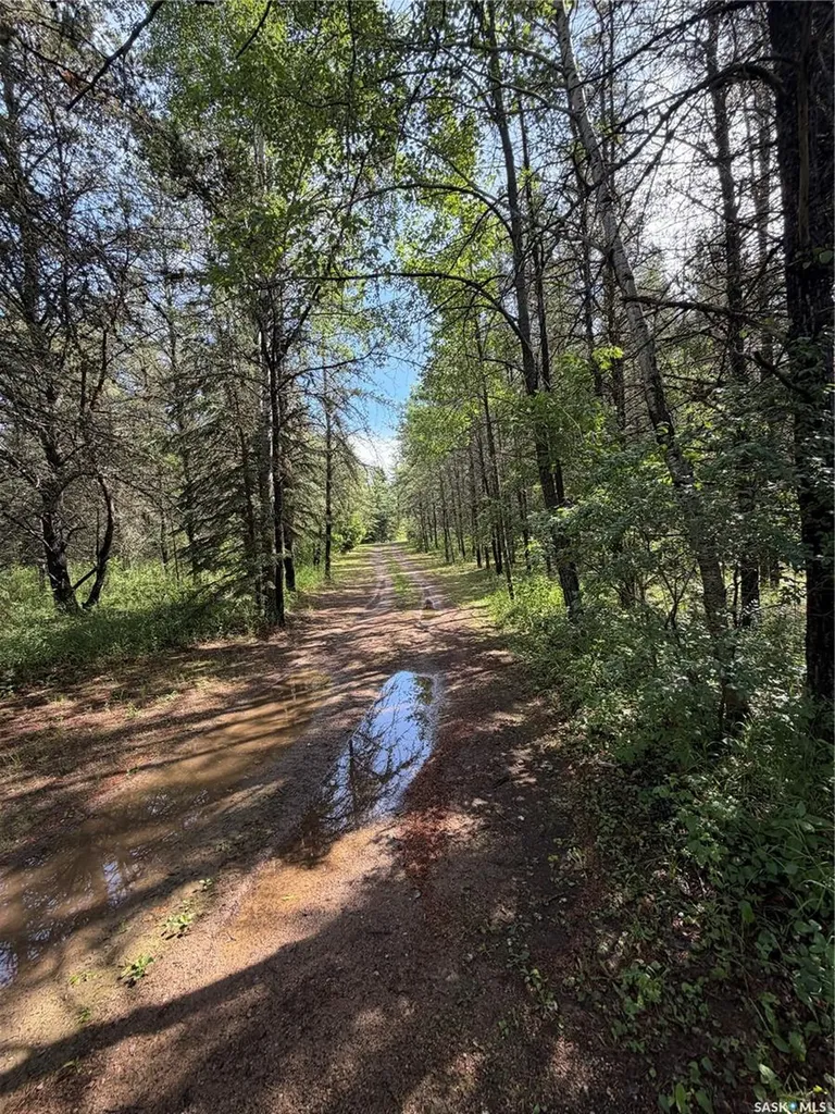 6 Rural Address Big River Rm No. 555 SK S0J 0E0