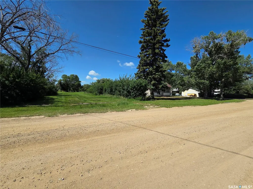 304 1st Avenue Craik SK S0G 0V0
