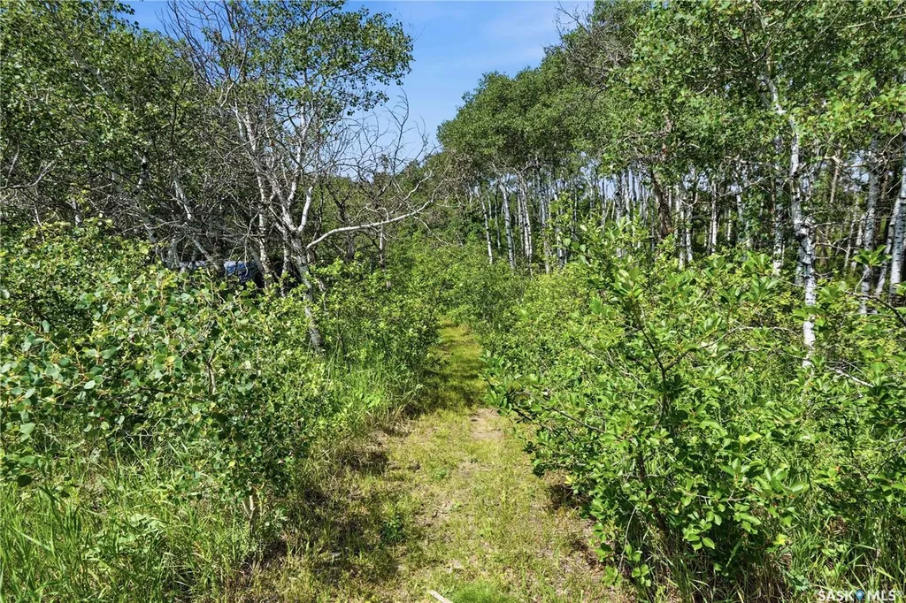 Rural Address Corman Park Rm No. 344 SK S7H 3L1