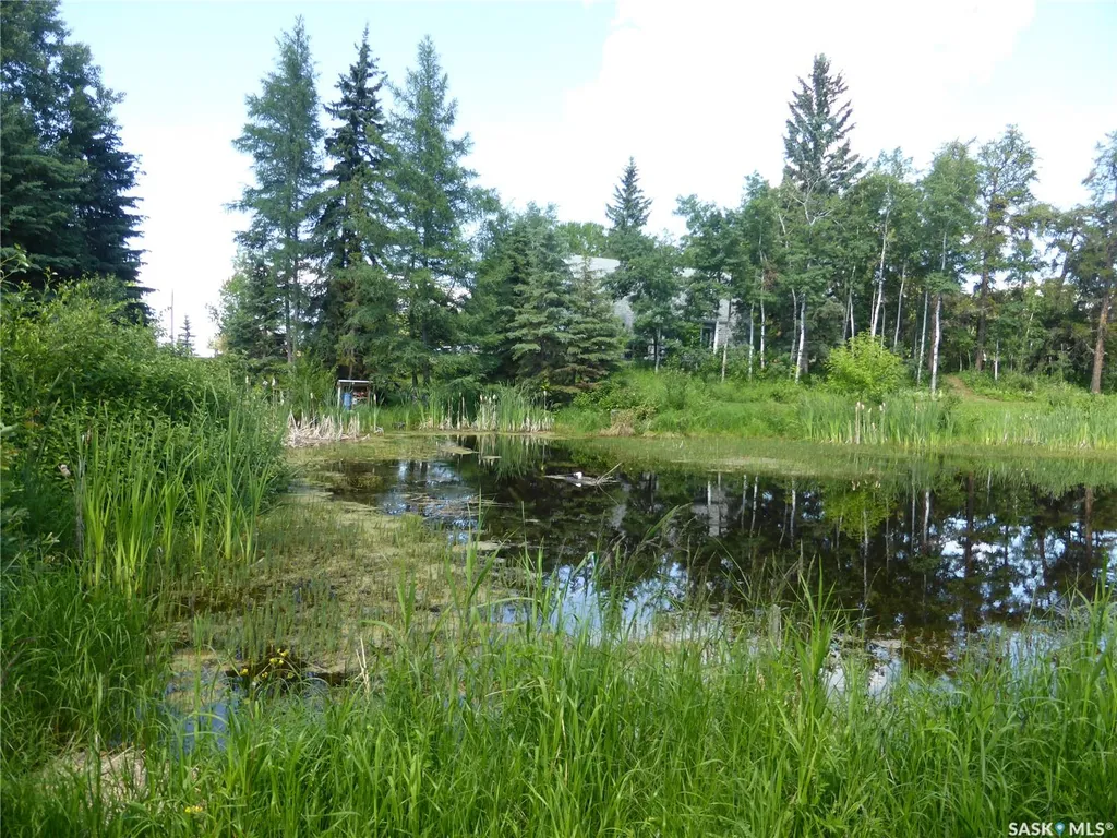 7 Lakeview Court Turtle View SK S0M 1J0
