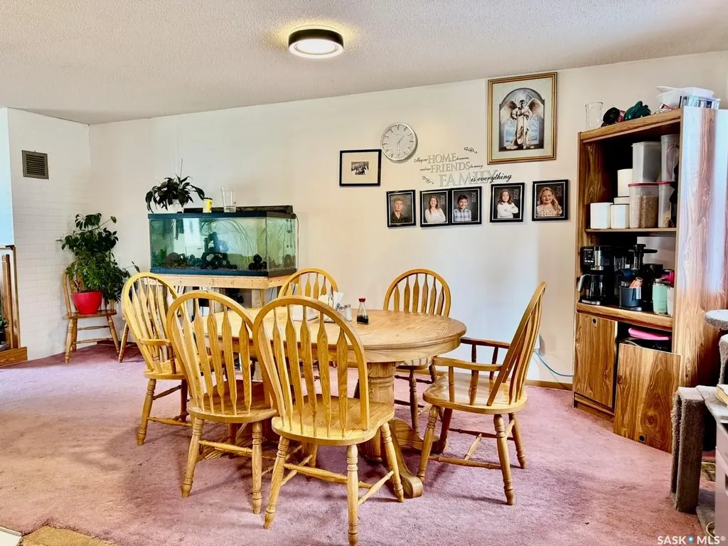 11 Vetshome Drive Lanigan SK S0K 2M0
