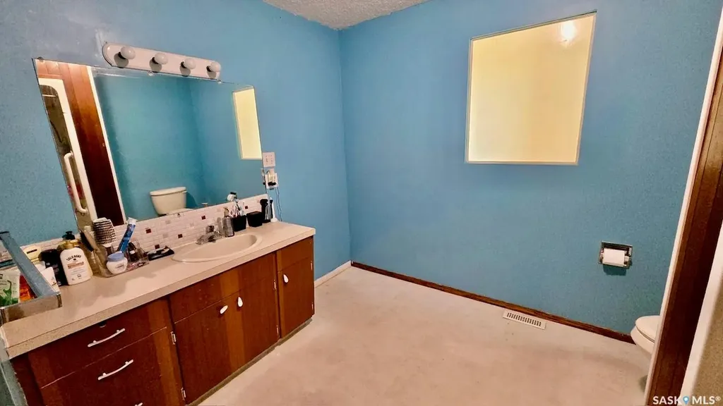 11 Vetshome Drive Lanigan SK S0K 2M0