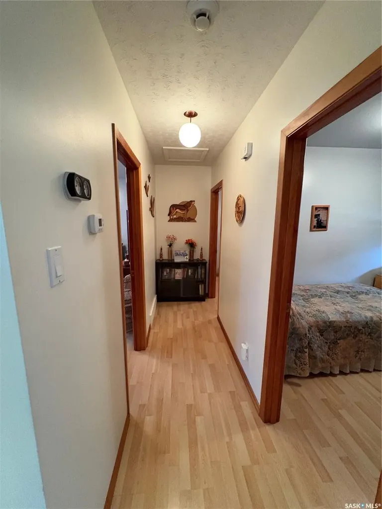 206 March Avenue E Langenburg SK S0A 2A0