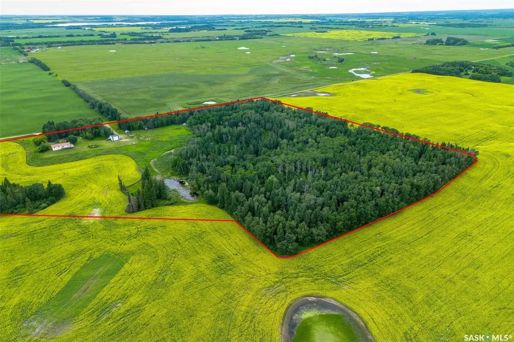Rural Address Shellbrook Rm No. 493 SK S0J 2E0