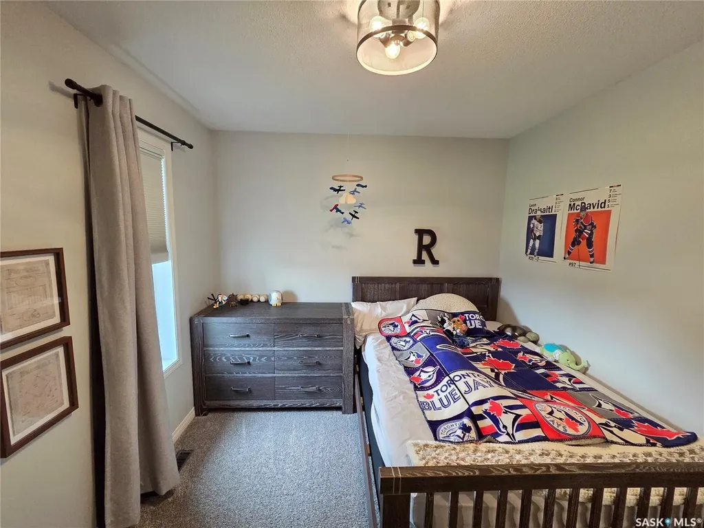 106 Ruckle Road Carlyle SK S0C 0R0