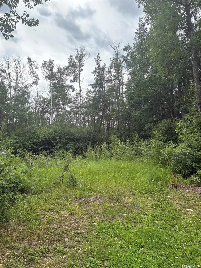 Rural Address Leask Rm No. 464 SK S0J 1M0