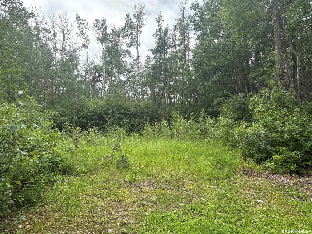 Rural Address Leask Rm No. 464 SK S0J 1M0