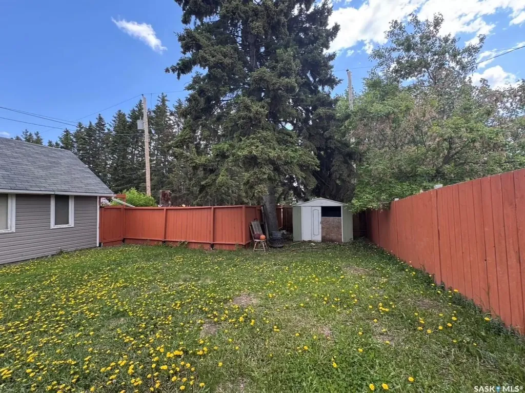 234 1a Avenue St. Walburg SK S0M 2T0
