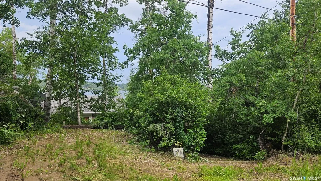 3536 Rural Address Wakaw Lake SK S0K 4P0