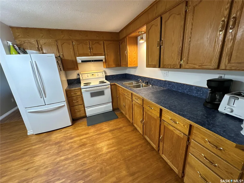 #30 1st Street W Birch Hills SK S0J 0G0