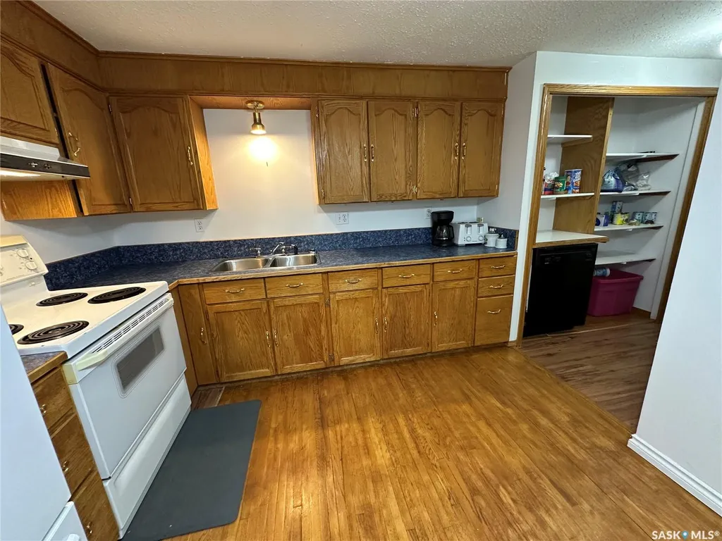 #30 1st Street W Birch Hills SK S0J 0G0