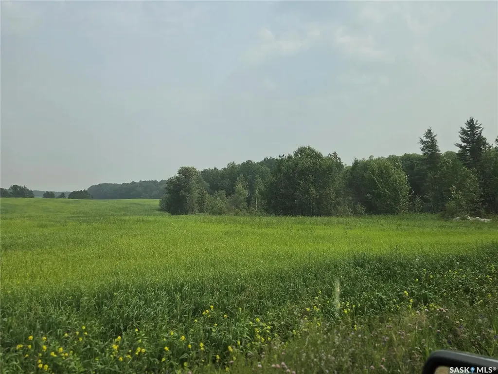 Rural Address Bjorkdale Rm No. 426 SK S0E 1B0